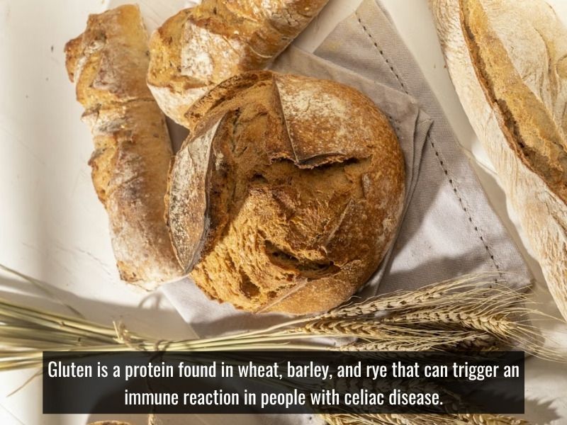 Gluten triggers immune reactions in celiac disease
