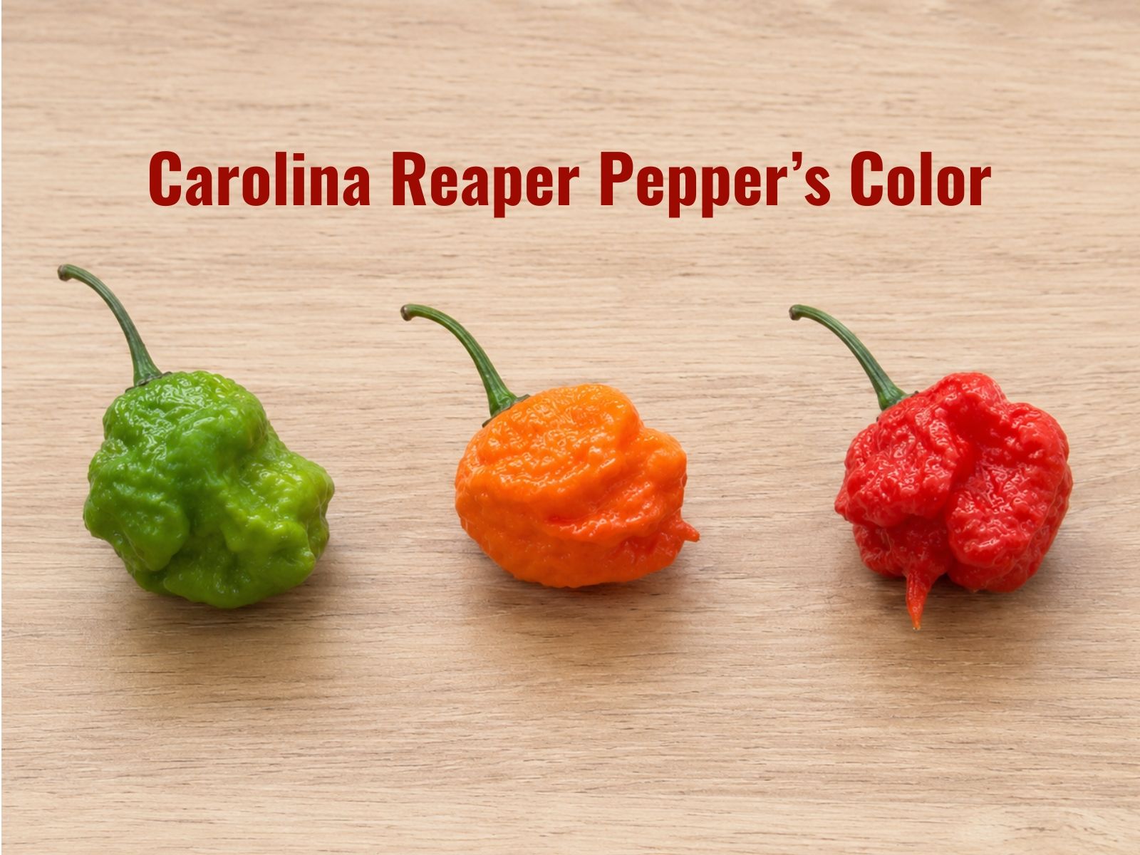 Red, orange, green Carolina Reapers
