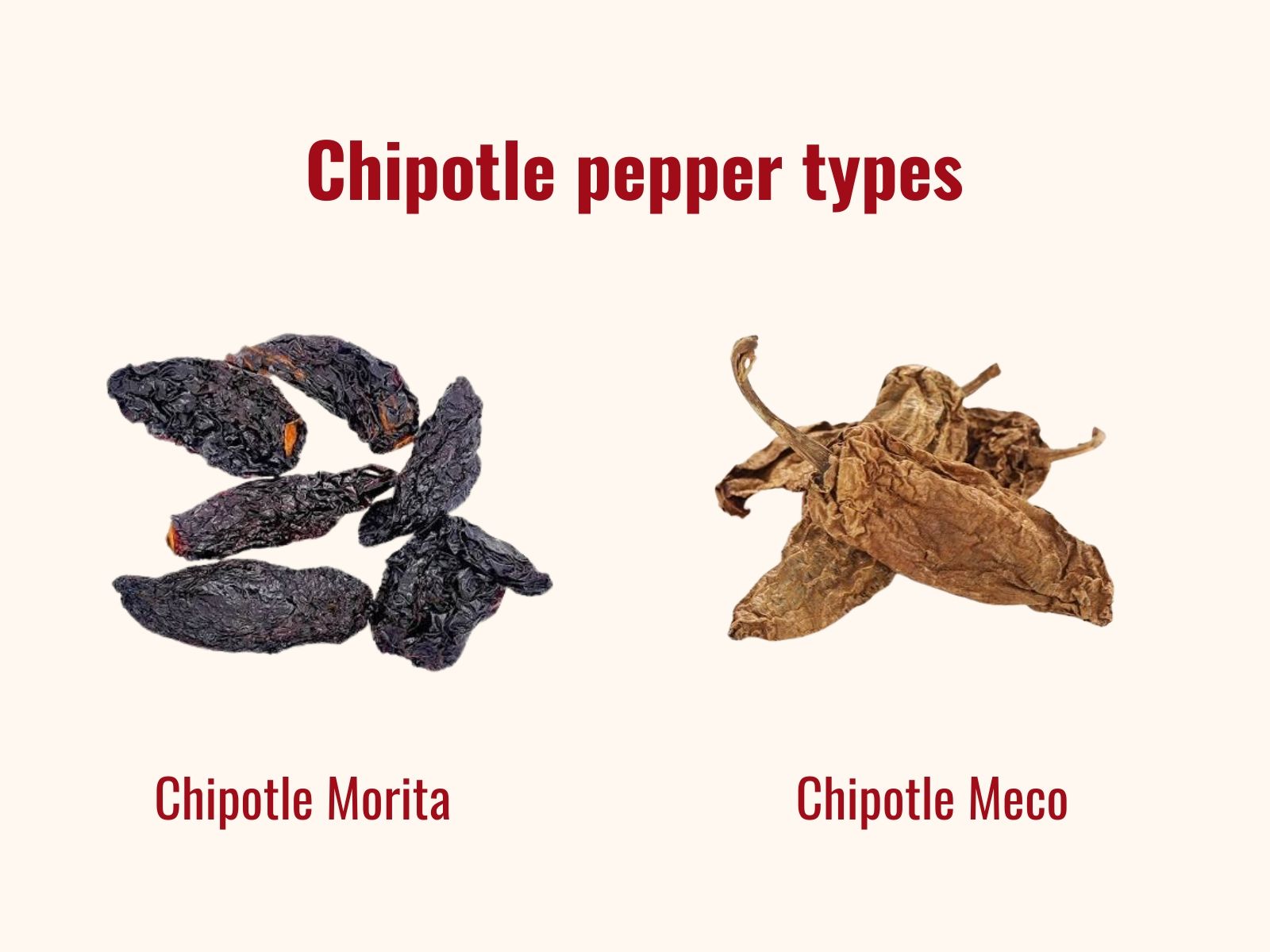 Chipotle Morita and Meco color differences
