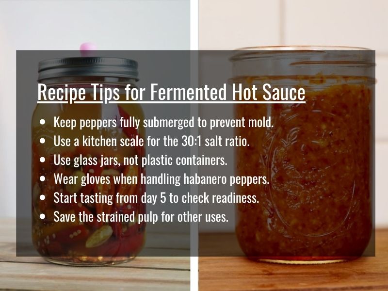 fermented hot sauce recipe tips