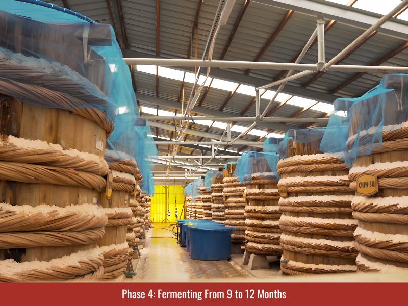 fermenting fish and salt from 9 to 12 months
