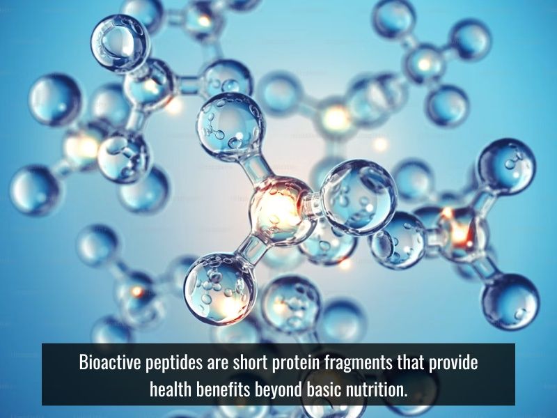 fish sauce contains bioactive peptides with antioxidant properties