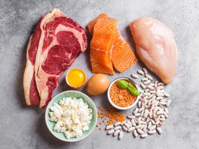 Carnivore diets vary from strict elimination