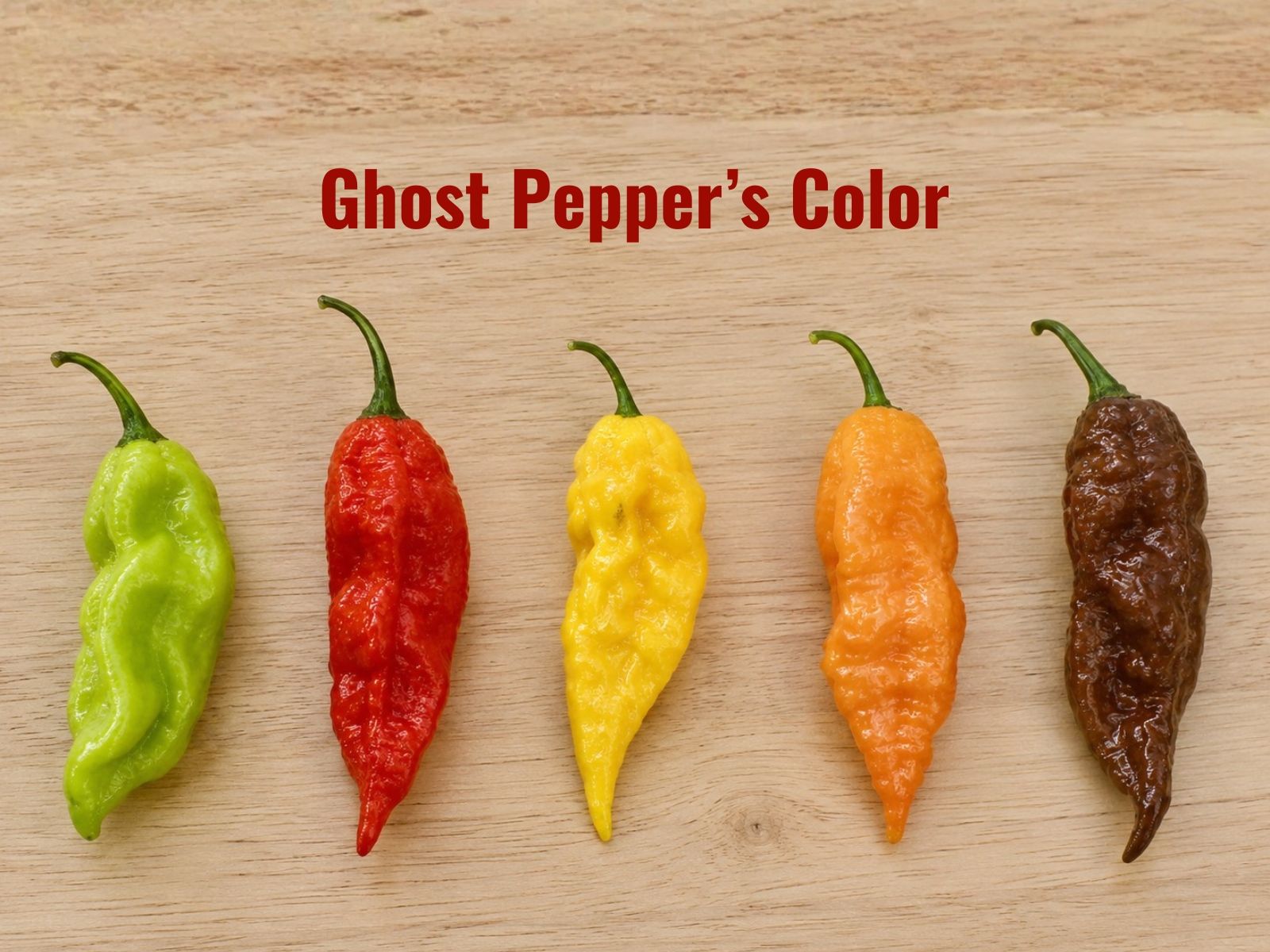 Green, red, yellow, orange, and chocolate ghost peppers