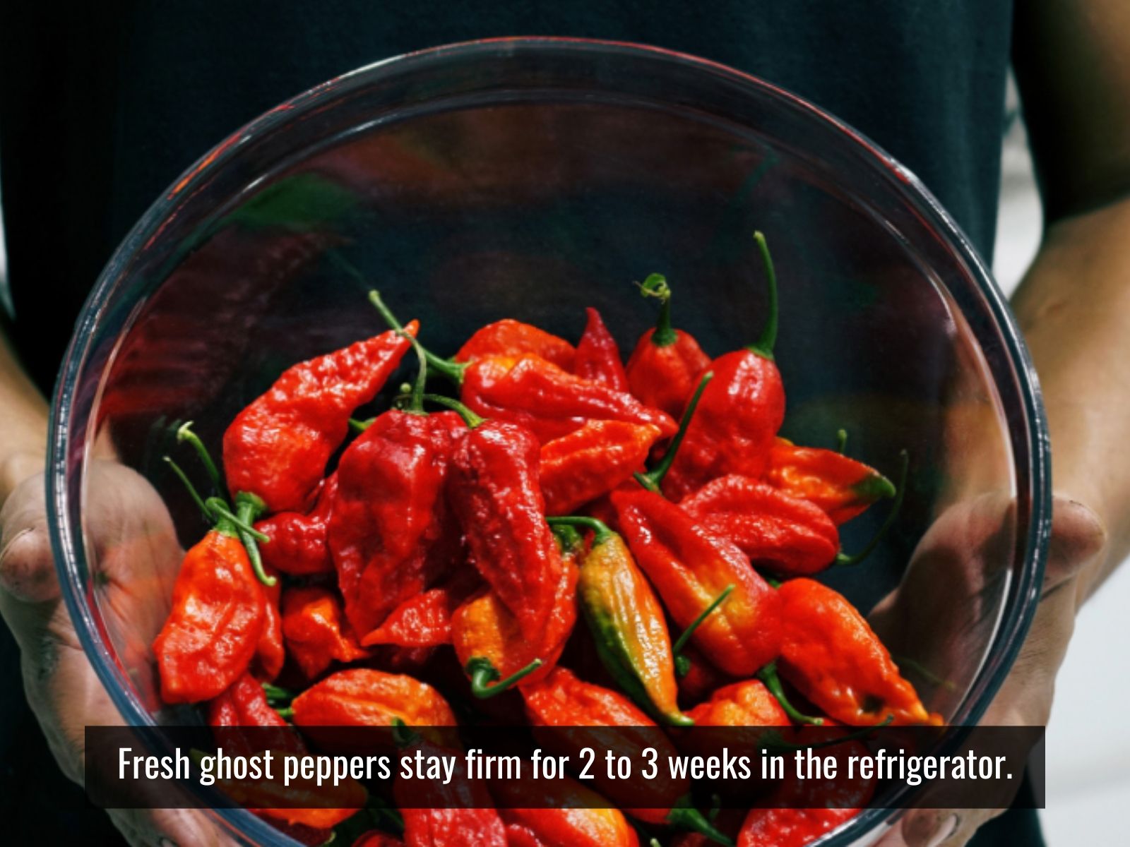Fresh, frozen, dried, and powdered ghost peppers