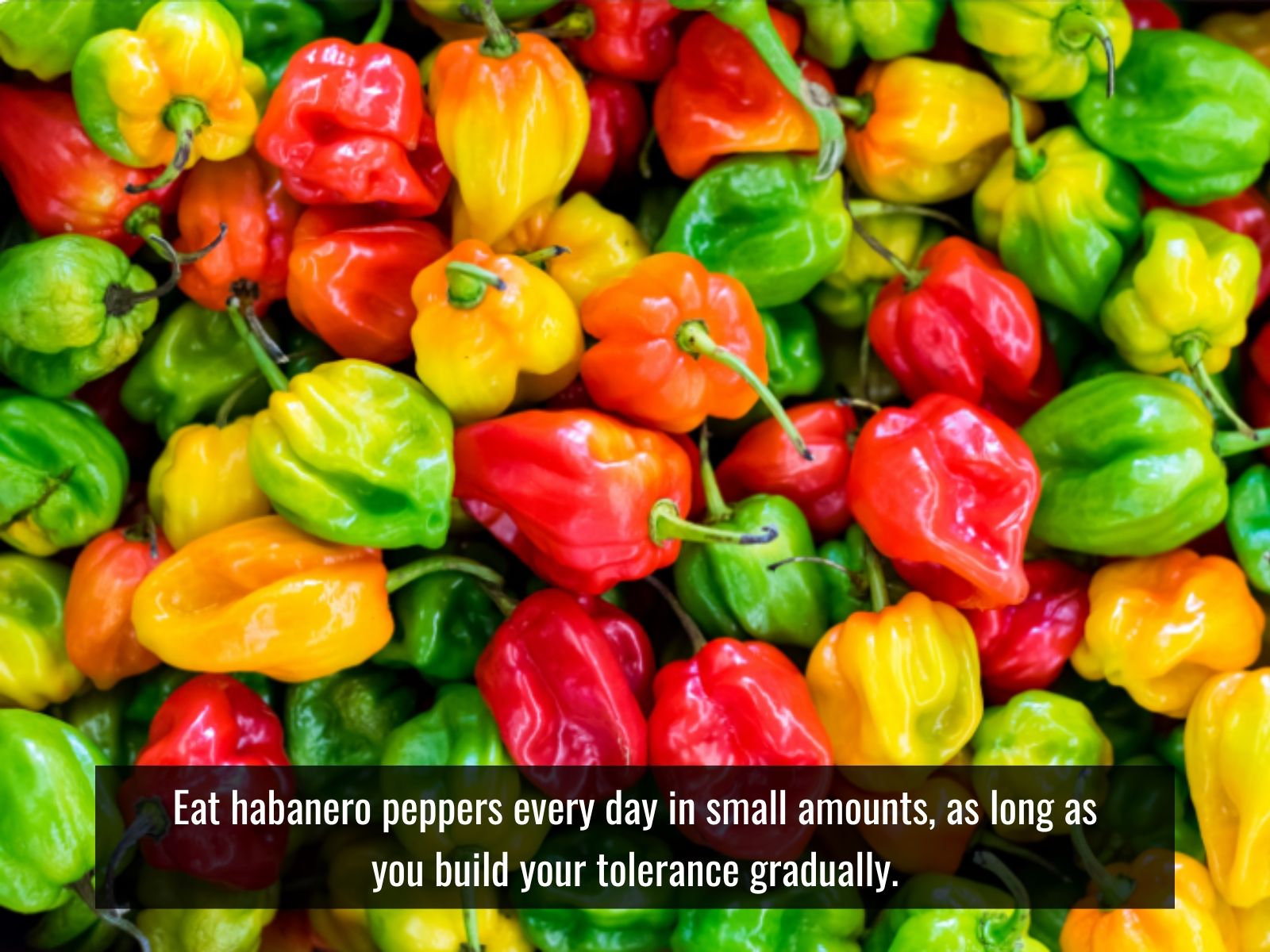 Small amount of habanero pepper serving