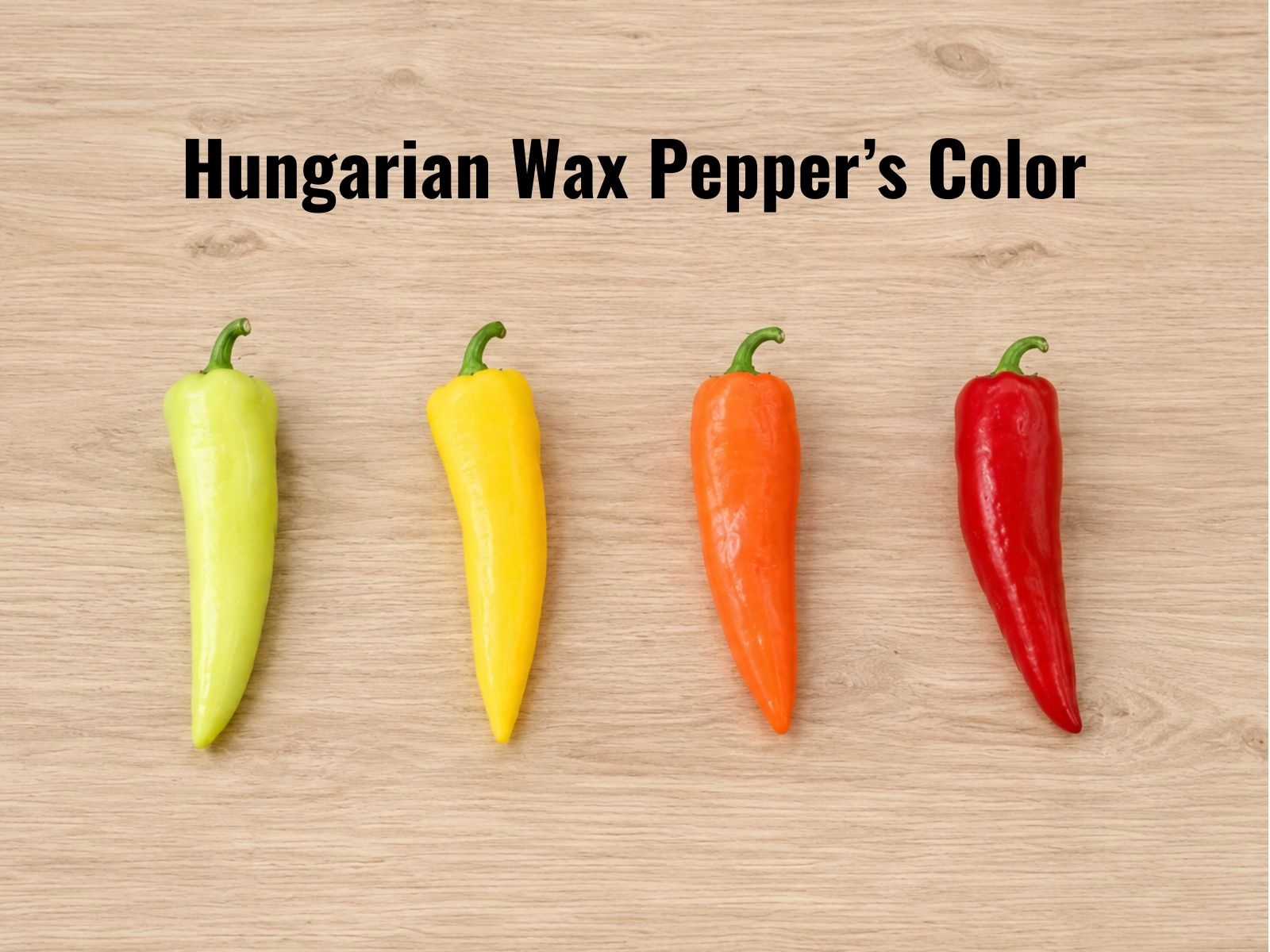 Pale yellow, orange, and red Hungarian wax peppers