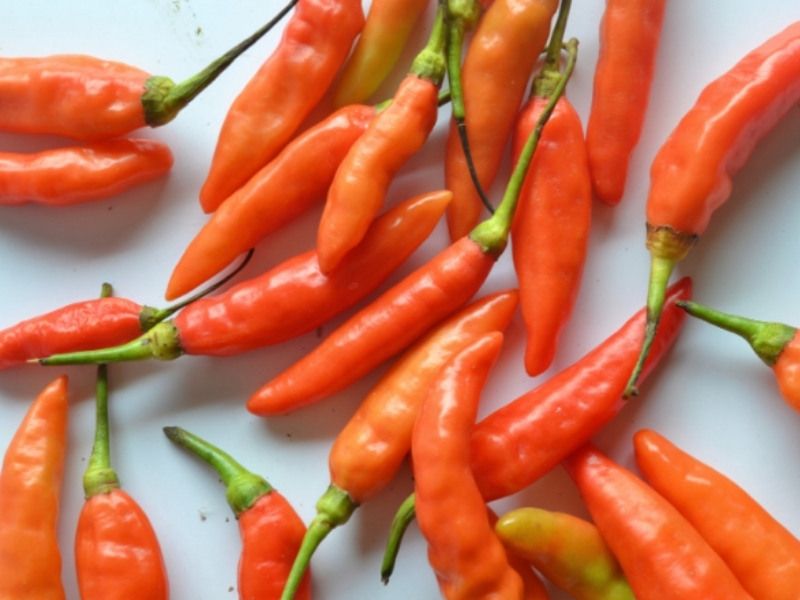 jalapeños and Fresnos offer mild heat and bright flavor