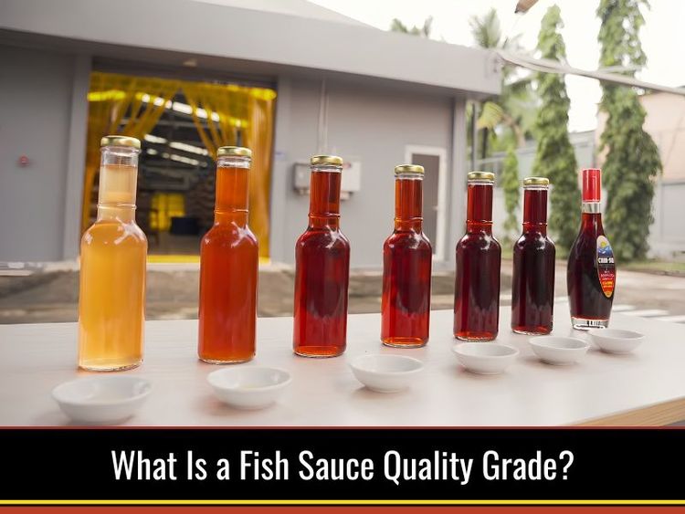 What Is a Fish Sauce Quality Grade?