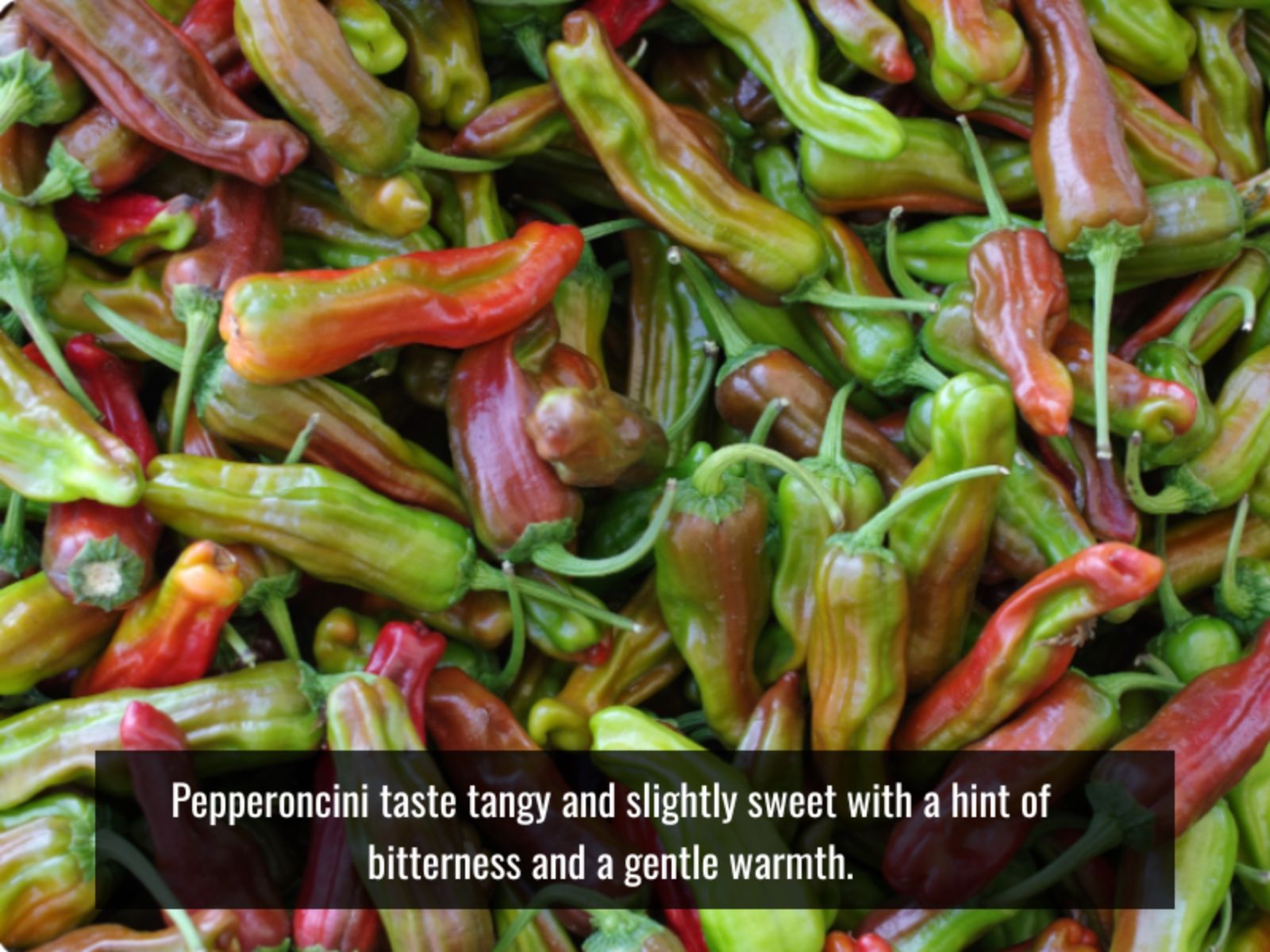 Pepperoncini with tangy, sweet, mildly bitter flavor