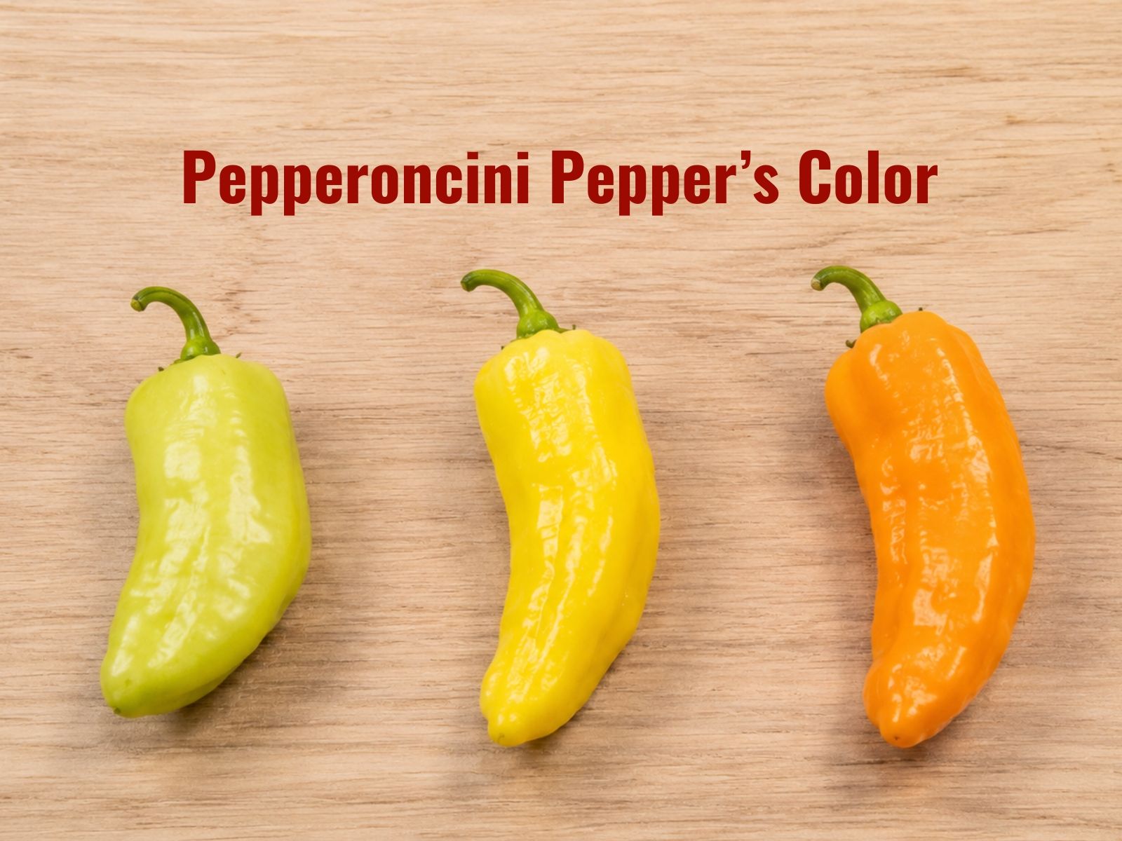 Yellow-green, yellow, orange, and red pepperoncini stages