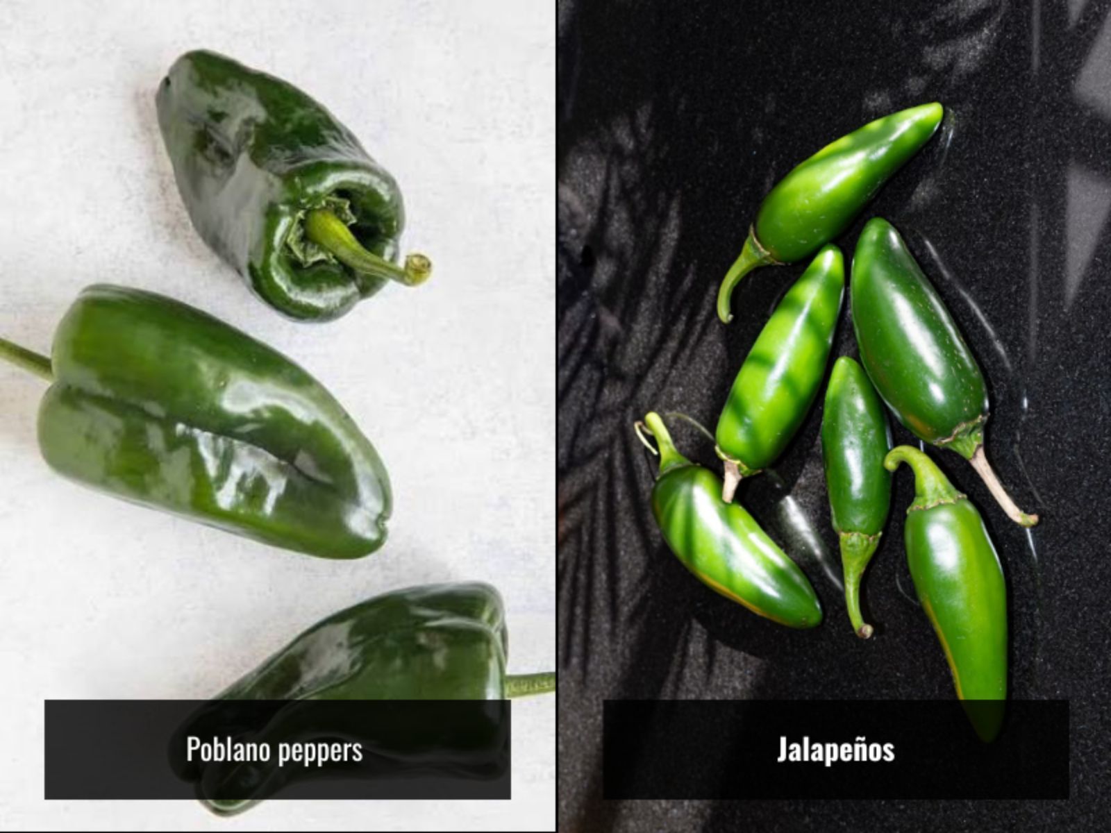 Poblanos stay milder and larger than jalapeños