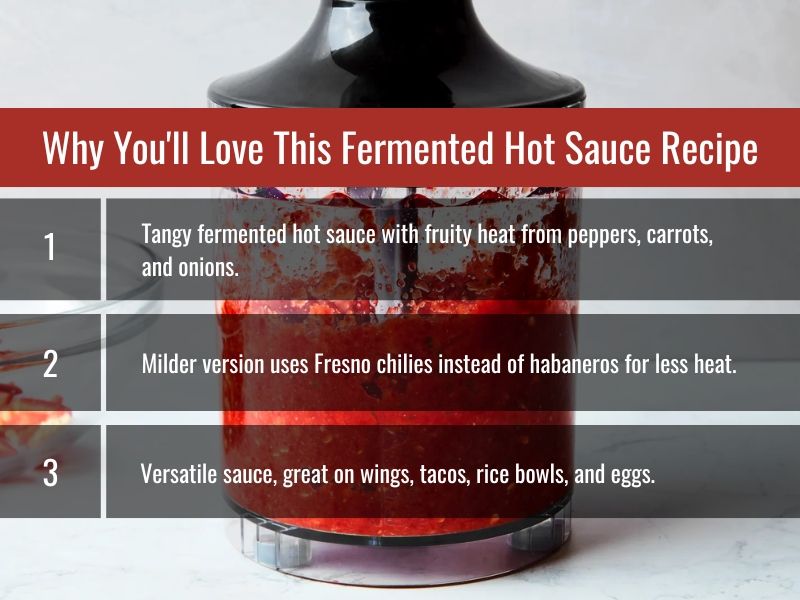 reasons why this fermented hot sauce recipe