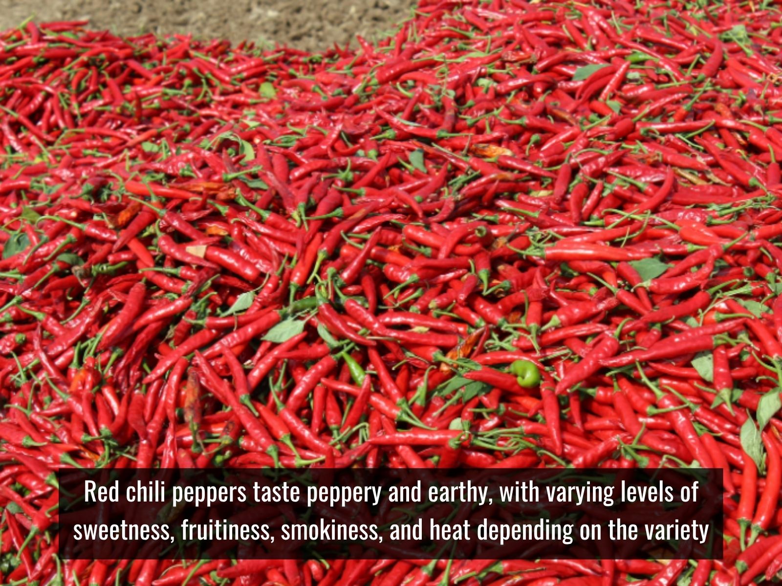 Red chilies with sweet, earthy, smoky flavors