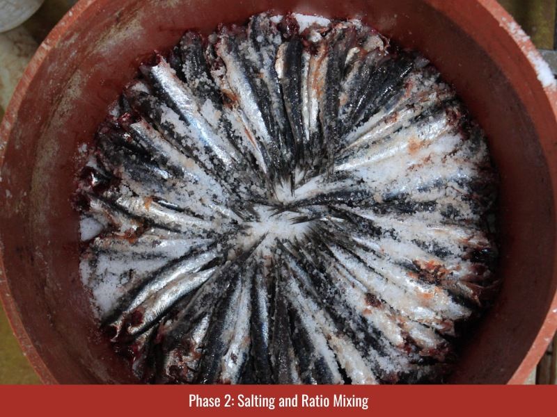 Traditional Vietnamese fish sauce uses a 3:1 ratio, 3 parts anchovy to 1 part salt by weight