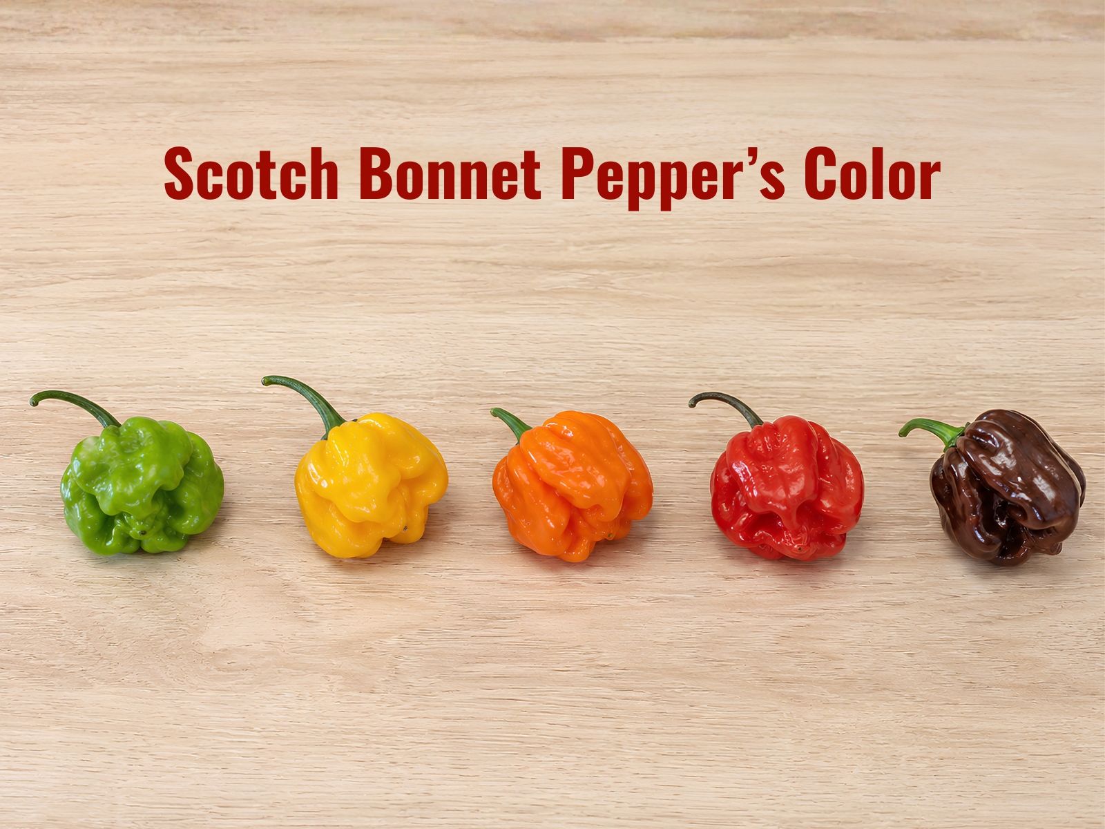 Green, yellow, orange, red, and chocolate Scotch bonnets