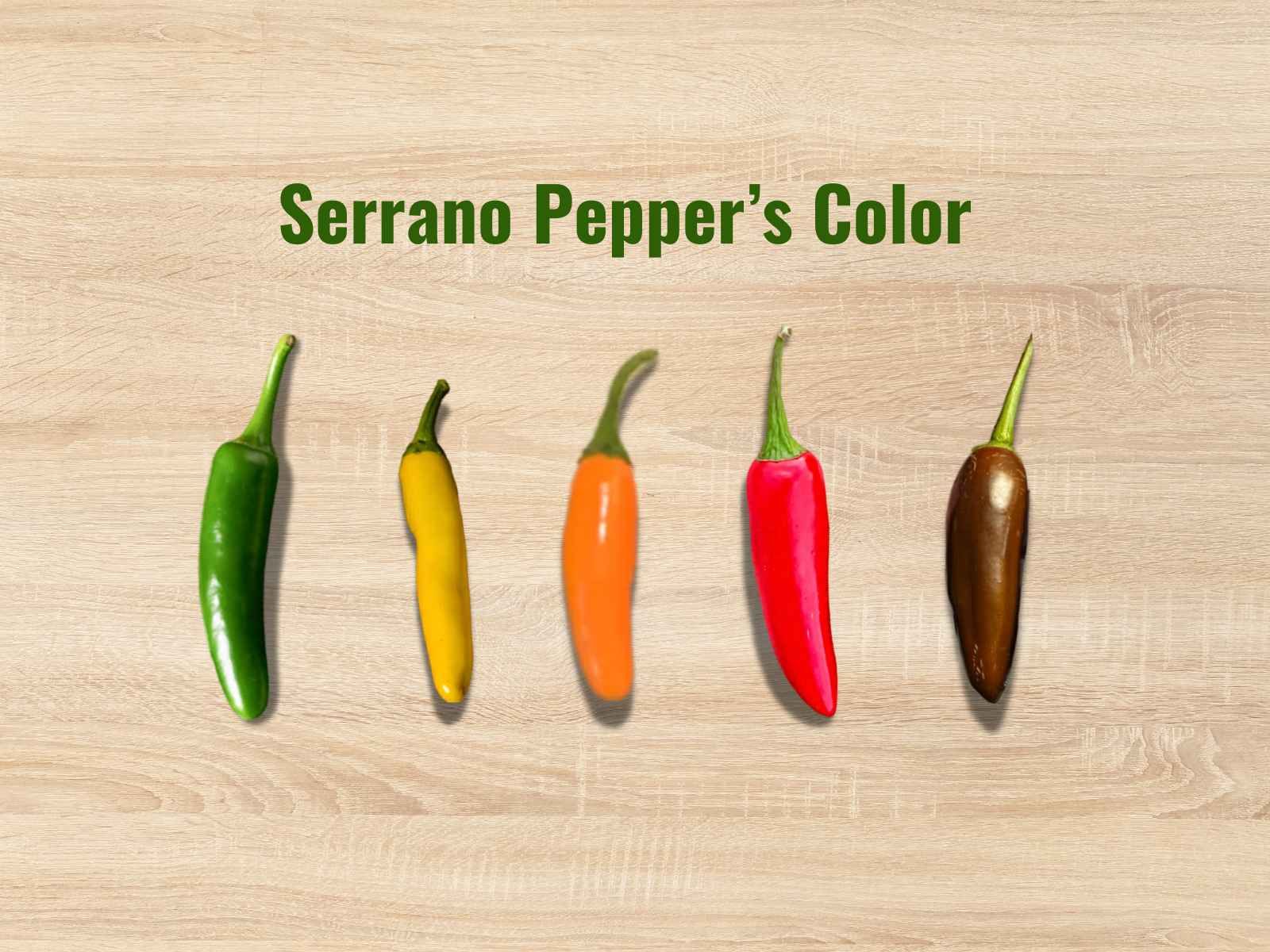 Serrano peppers shift in color as they ripen