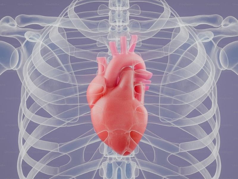 spicy foods may support cardiovascular health