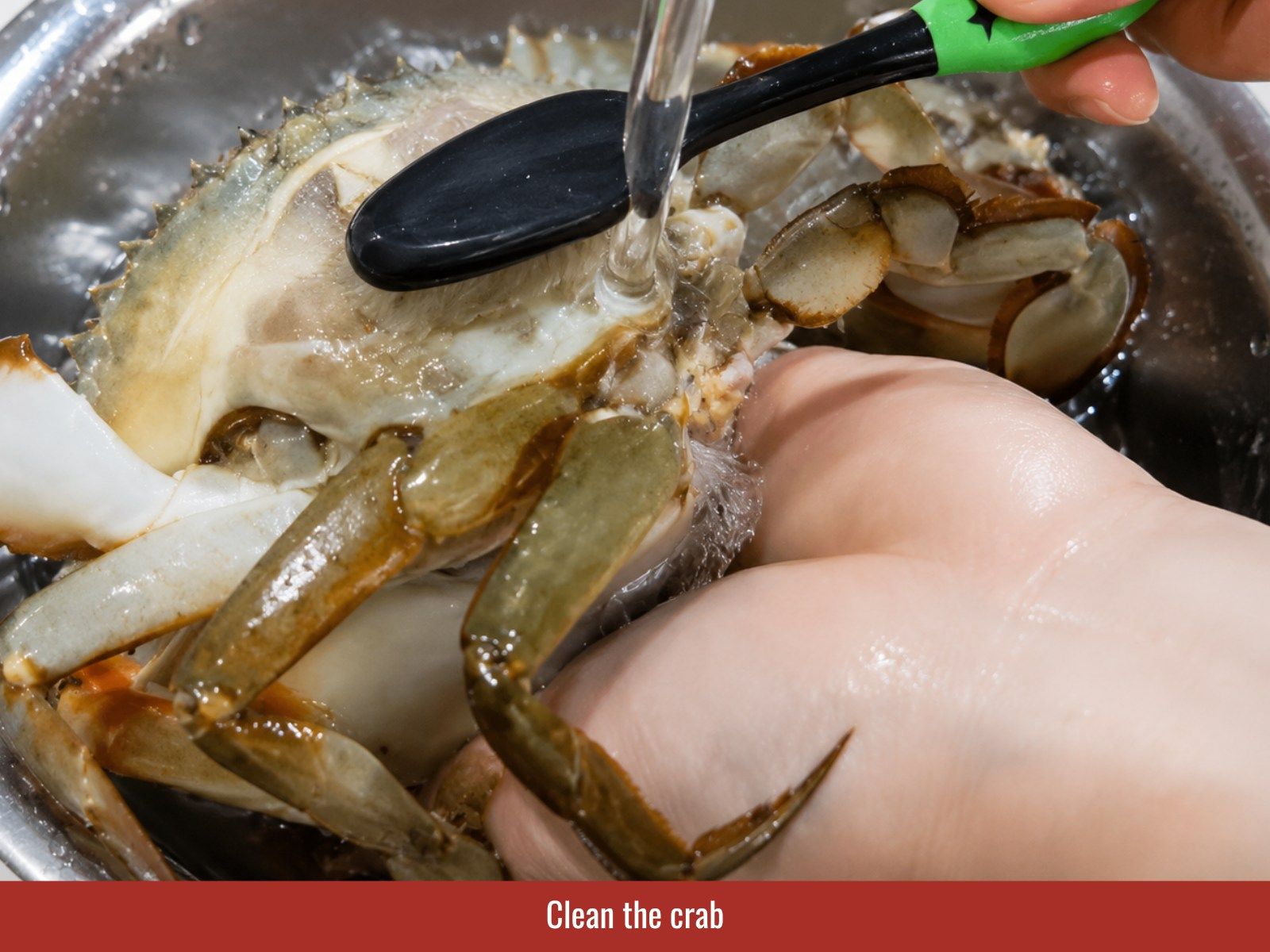 Scrub crabs thoroughly