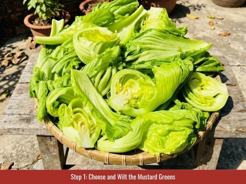 Wilting fresh mustard greens before fermentation to reduce moisture and maintain crisp texture