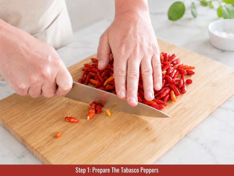 Preparing ripe red Tabasco peppers by removing stems before salt brine fermentation