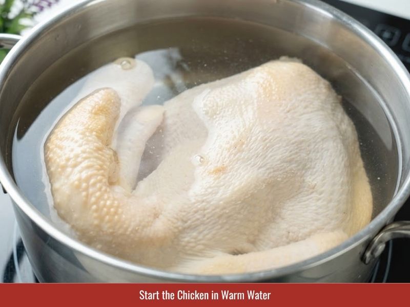 Placing whole chicken into warm water to begin gentle poaching for chao ga broth