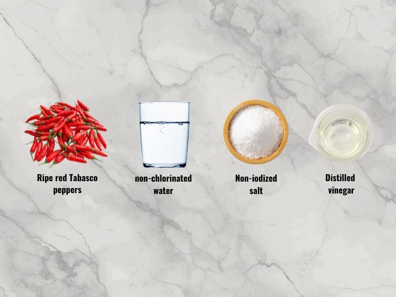 Fresh red Tabasco peppers, distilled white vinegar, salt, and fermentation ingredients for homemade hot sauce