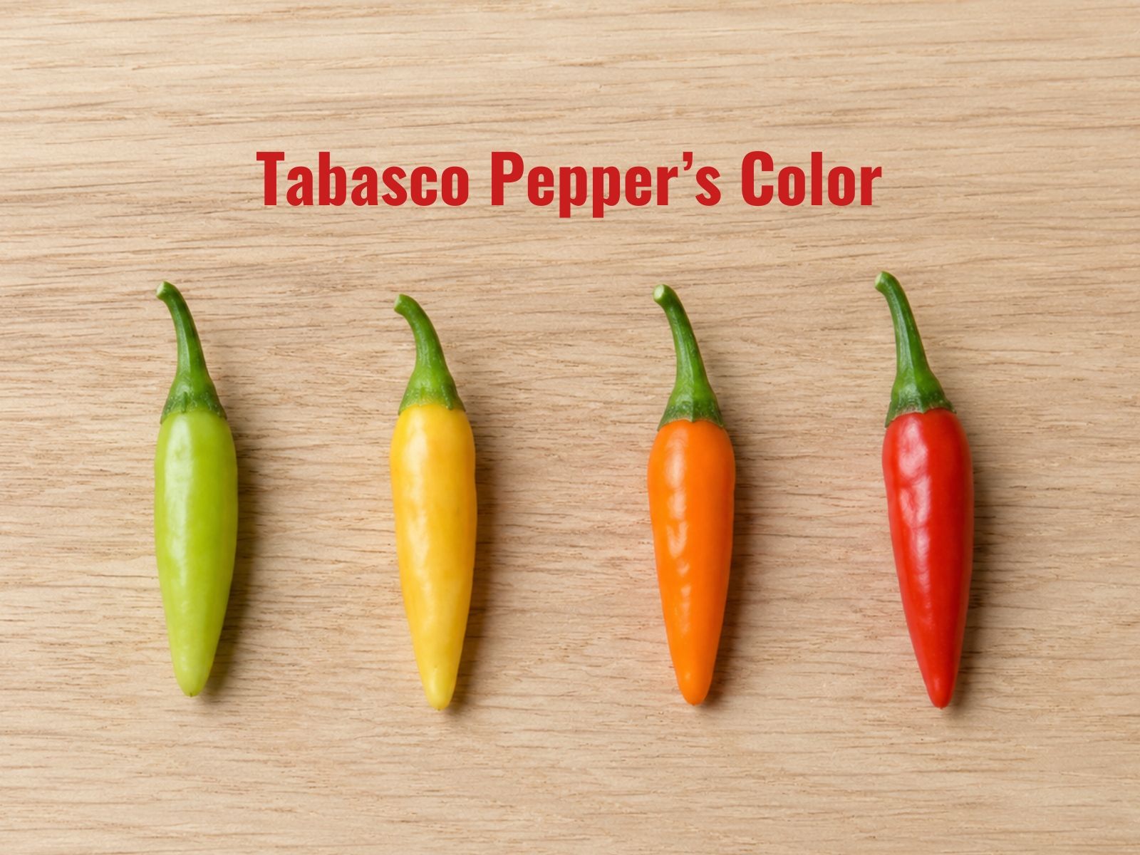 Pale green, yellow, orange, and red tabasco peppers