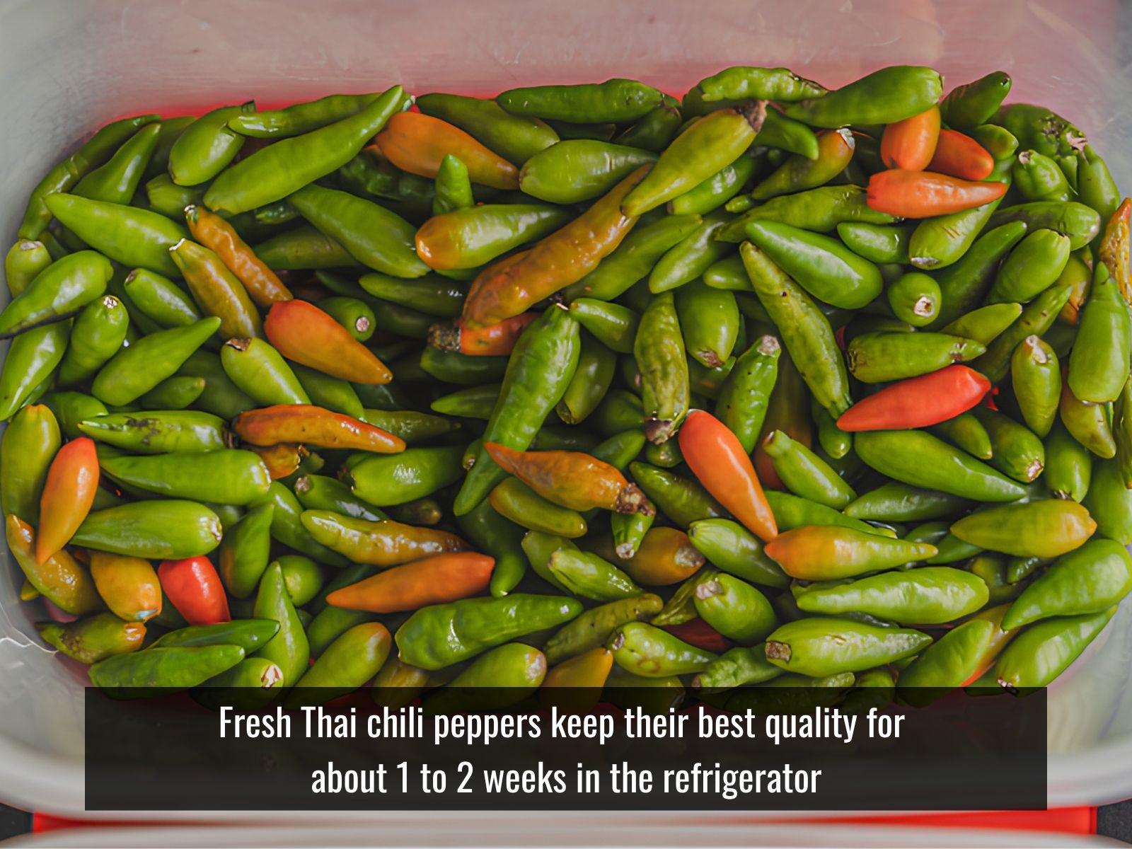 Fresh, frozen, dried, and powdered Thai chili peppers