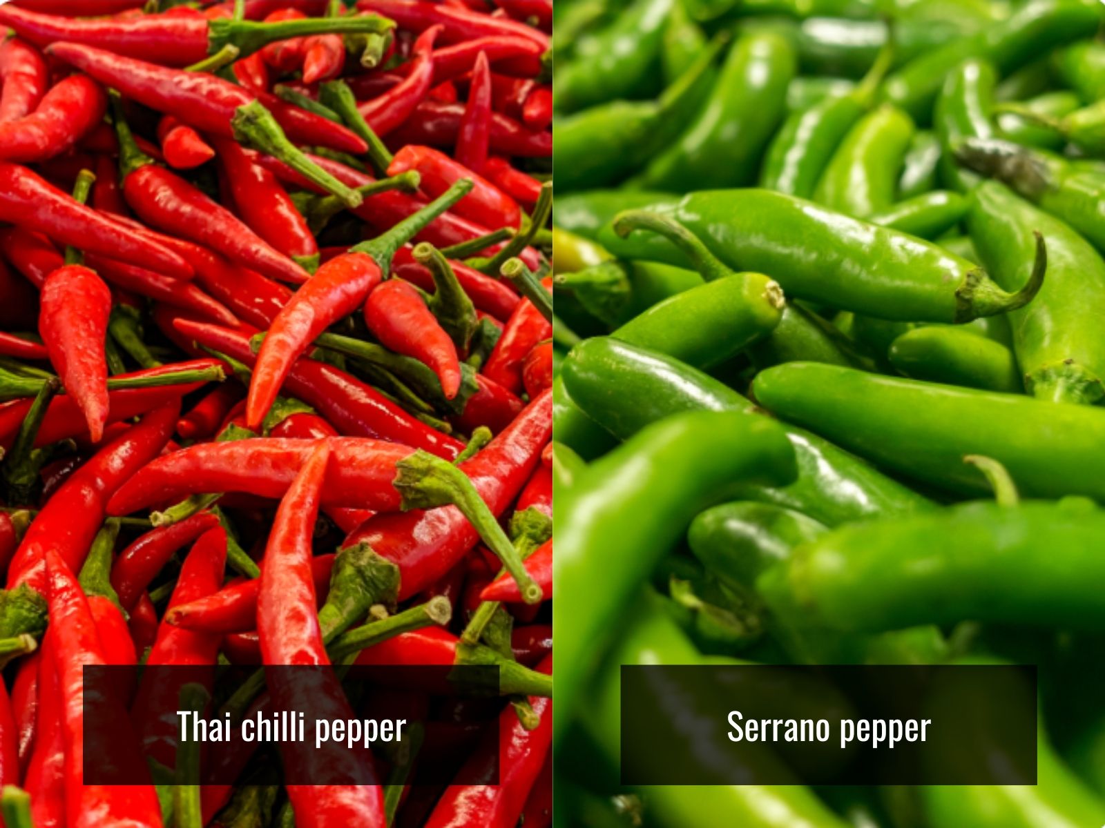 Thai chili and serrano pepper appearance comparison