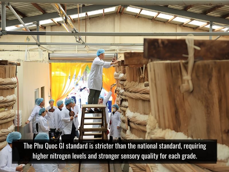 Vietnamese standards classify fish sauce by nitrogen levels and quality criteria.