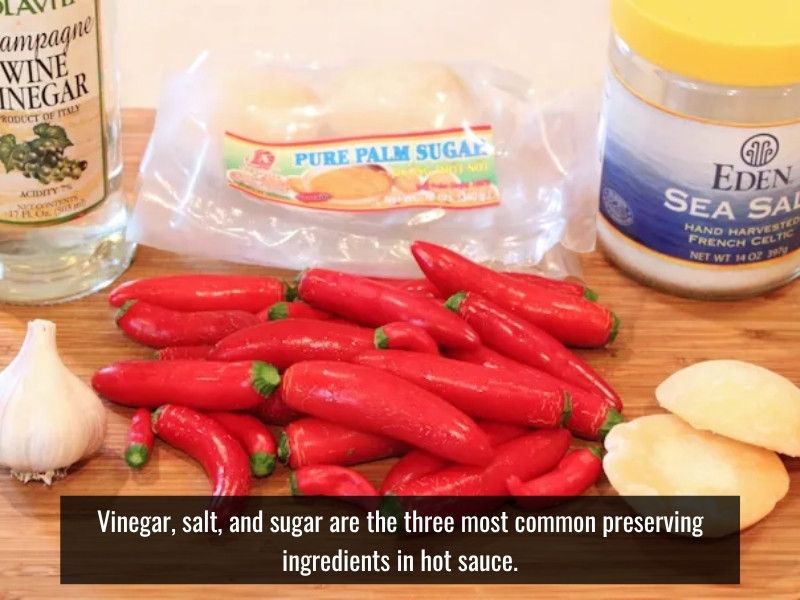 vinegar salt and sugar reduce bacteria and extend shelf life