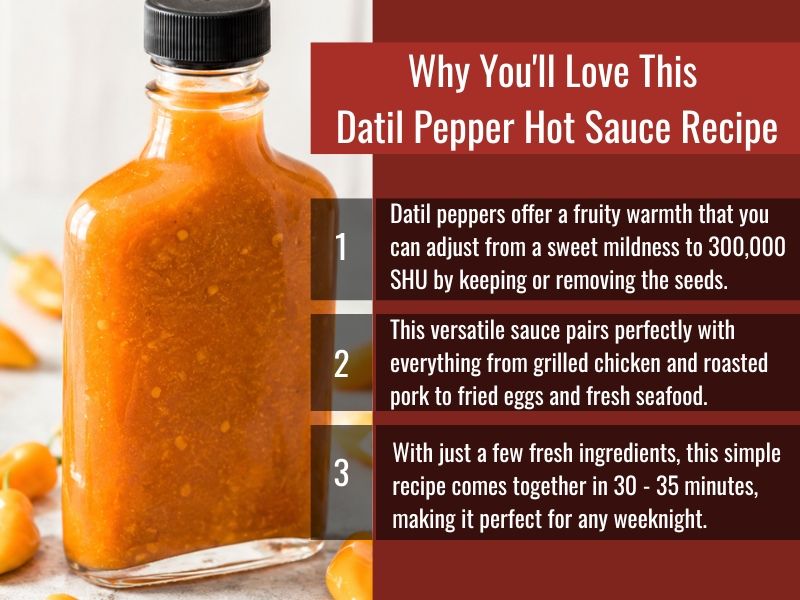 Why you’ll love datil pepper hot sauce recipe