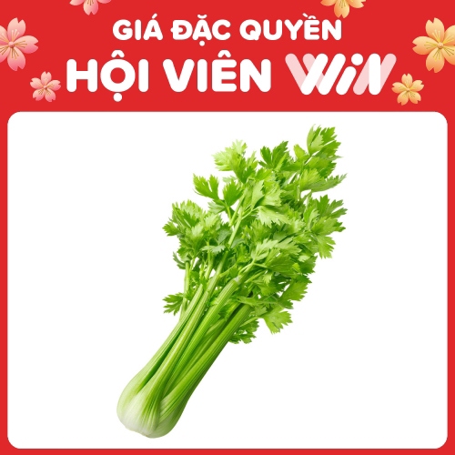 Cần tây lớn WinEco