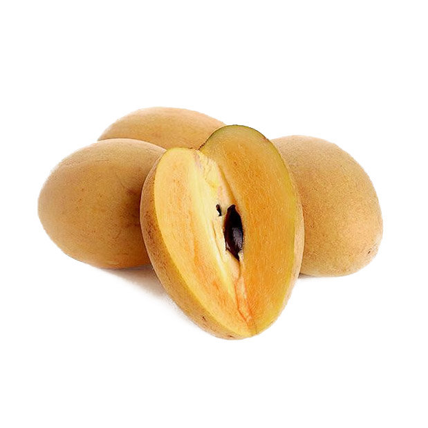 Hồng Xiêm (Sapo)